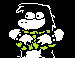 Flowery Dollar