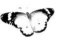 Thumbnail for version as of 05:06, 27 June 2026