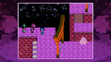 Dynamic Border for the Garden
