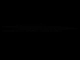Chapter 1's intro animation when completion data is detected