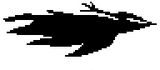 鳥形態