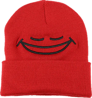 Nubert Embroidered Beanie merch.png