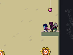Pink Coin location Flower Castle flower target puzzle.png