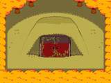Shelter