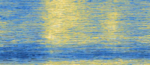 Snd next 1225speed-spectrogram (1).png