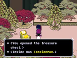Obtaining a TensionMax from a treasure chest in Flower Castle